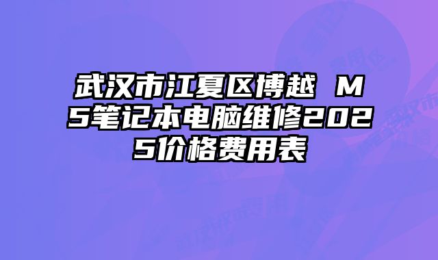 武漢市江夏區博越 M5筆記本電腦維修2025價格費用表