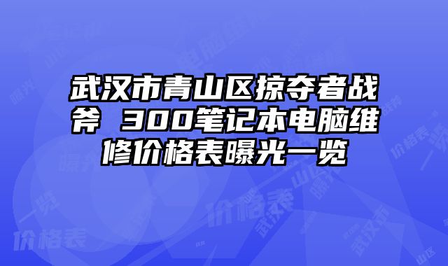 武漢市青山區(qū)掠奪者戰(zhàn)斧 300筆記本電腦維修價格表曝光一覽