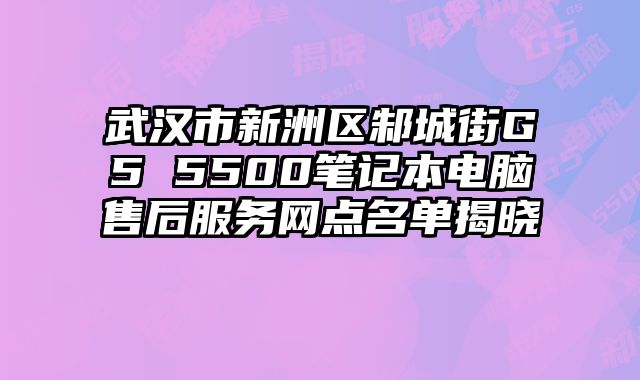 武漢市新洲區邾城街G5 5500筆記本電腦售后服務網點名單揭曉