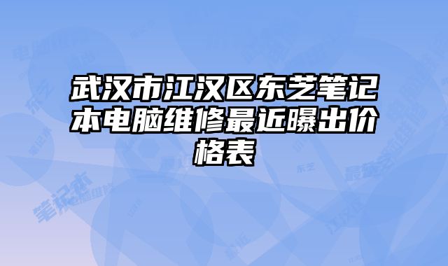 武漢市江漢區(qū)東芝筆記本電腦維修最近曝出價(jià)格表