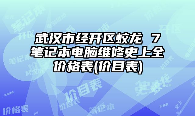 武漢市經開區蛟龍 7筆記本電腦維修史上全價格表(價目表)