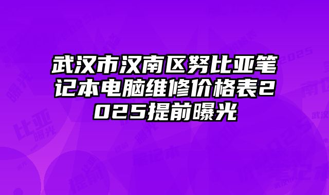 武漢市漢南區(qū)努比亞筆記本電腦維修價格表2025提前曝光