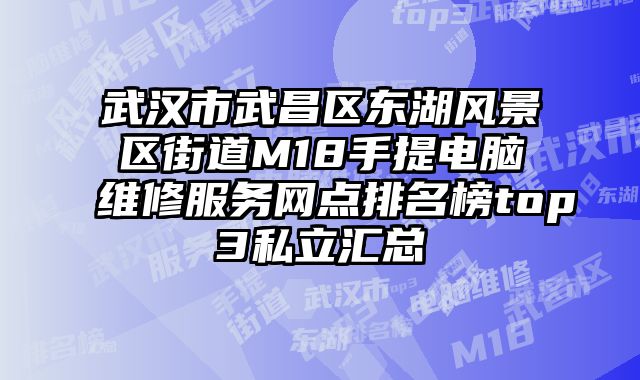 武漢市武昌區東湖風景區街道M18手提電腦維修服務網點排名榜top3私立匯總