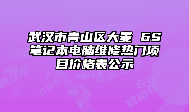 武漢市青山區大麥 6S筆記本電腦維修熱門項目價格表公示