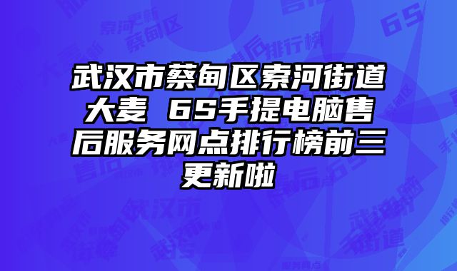 武漢市蔡甸區索河街道大麥 6S手提電腦售后服務網點排行榜前三更新啦