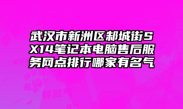 武漢市新洲區邾城街SX14筆記本電腦售后服務網點排行哪家有名氣