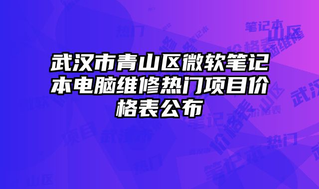 武漢市青山區微軟筆記本電腦維修熱門項目價格表公布
