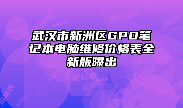 武漢市新洲區(qū)GPD筆記本電腦維修價(jià)格表全新版曝出