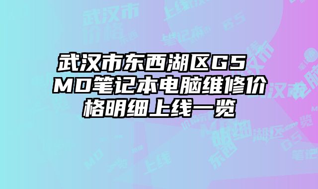 武漢市東西湖區G5 MD筆記本電腦維修價格明細上線一覽