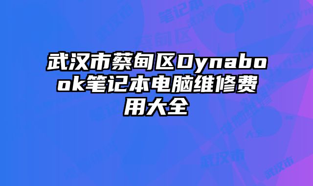 武漢市蔡甸區Dynabook筆記本電腦維修費用大全