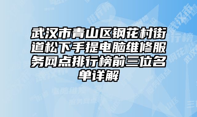 武漢市青山區鋼花村街道松下手提電腦維修服務網點排行榜前三位名單詳解