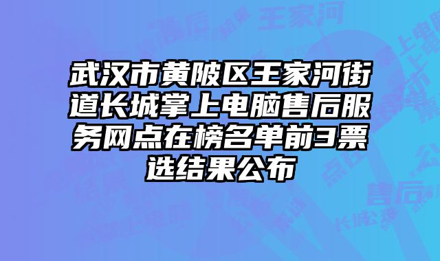 武漢市黃陂區王家河街道長城掌上電腦售后服務網點在榜名單前3票選結果公布
