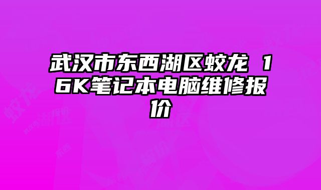 武漢市東西湖區(qū)蛟龍 16K筆記本電腦維修報(bào)價(jià)