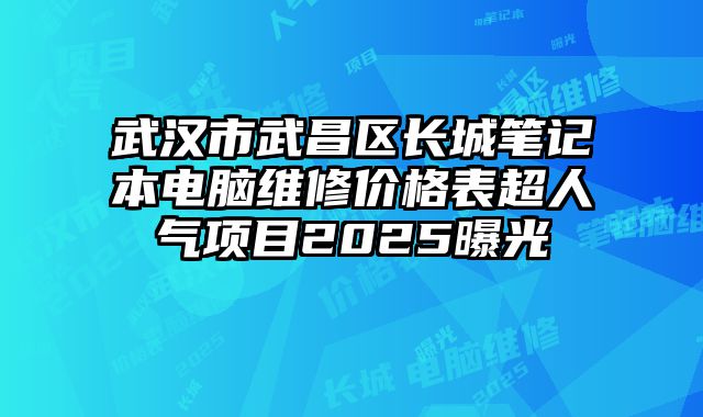 武漢市武昌區(qū)長(zhǎng)城筆記本電腦維修價(jià)格表超人氣項(xiàng)目2025曝光
