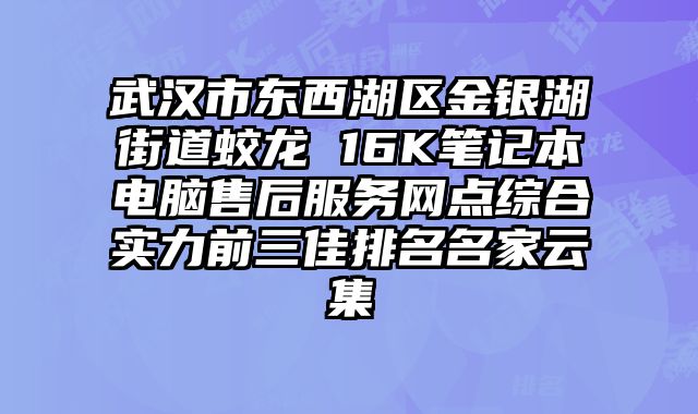 武漢市東西湖區金銀湖街道蛟龍 16K筆記本電腦售后服務網點綜合實力前三佳排名名家云集