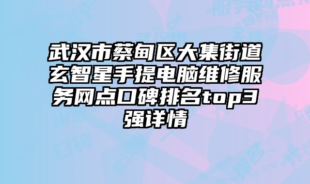 武漢市蔡甸區大集街道玄智星手提電腦維修服務網點口碑排名top3強詳情