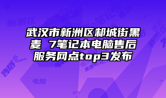 武漢市新洲區邾城街黑麥 7筆記本電腦售后服務網點top3發布