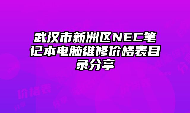 武漢市新洲區NEC筆記本電腦維修價格表目錄分享