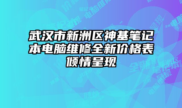 武漢市新洲區神基筆記本電腦維修全新價格表傾情呈現