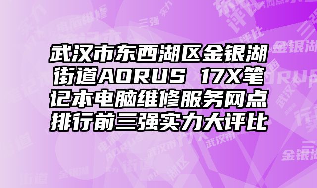 武漢市東西湖區金銀湖街道AORUS 17X筆記本電腦維修服務網點排行前三強實力大評比