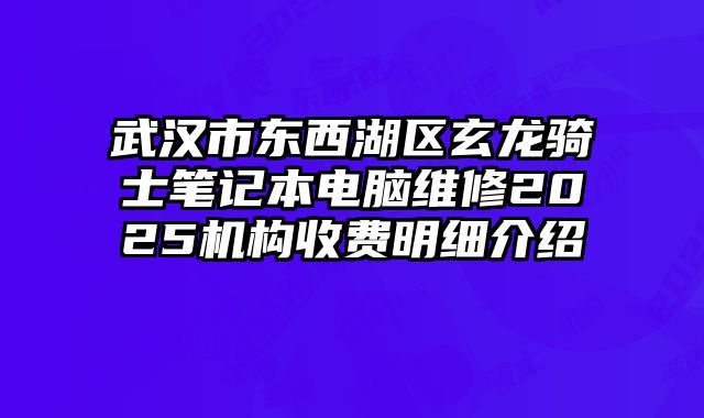 武漢市東西湖區玄龍騎士筆記本電腦維修2025機構收費明細介紹