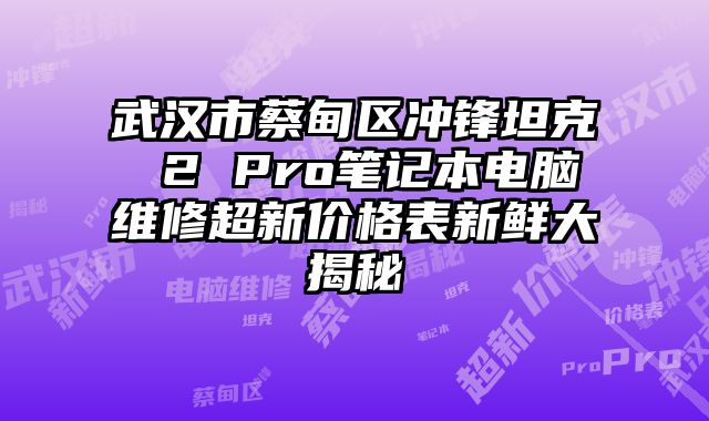 武漢市蔡甸區沖鋒坦克 2 Pro筆記本電腦維修超新價格表新鮮大揭秘
