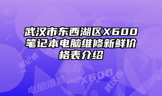 武漢市東西湖區X600筆記本電腦維修新鮮價格表介紹