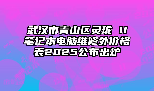 武漢市青山區(qū)靈瓏 II筆記本電腦維修外價(jià)格表2025公布出爐