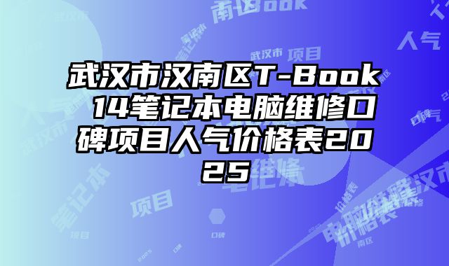 武漢市漢南區T-Book 14筆記本電腦維修口碑項目人氣價格表2025
