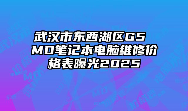 武漢市東西湖區G5 MD筆記本電腦維修價格表曝光2025