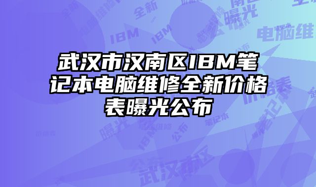 武漢市漢南區(qū)IBM筆記本電腦維修全新價格表曝光公布