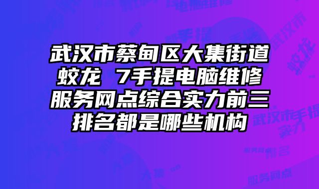 武漢市蔡甸區(qū)大集街道蛟龍 7手提電腦維修服務(wù)網(wǎng)點(diǎn)綜合實(shí)力前三排名都是哪些機(jī)構(gòu)