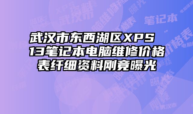 武漢市東西湖區(qū)XPS 13筆記本電腦維修價(jià)格表纖細(xì)資料剛竟曝光