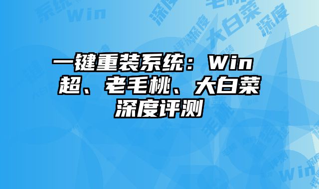 一鍵重裝系統：Win 超、老毛桃、大白菜深度評測