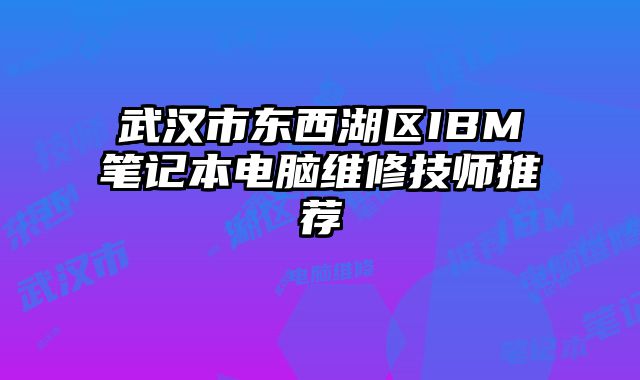 武漢市東西湖區IBM筆記本電腦維修技師推薦
