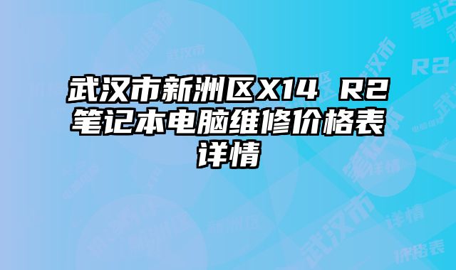 武漢市新洲區X14 R2筆記本電腦維修價格表詳情