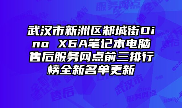 武漢市新洲區邾城街Dino X6A筆記本電腦售后服務網點前三排行榜全新名單更新