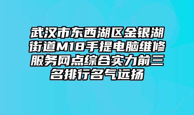武漢市東西湖區金銀湖街道M18手提電腦維修服務網點綜合實力前三名排行名氣遠揚