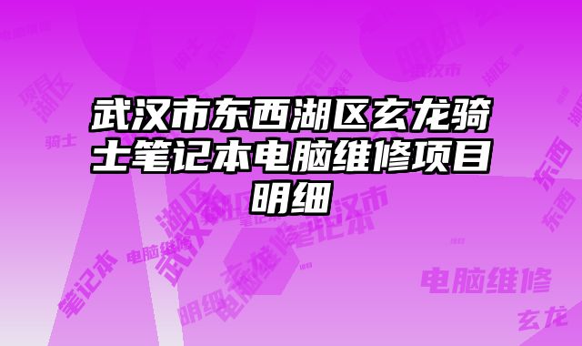 武漢市東西湖區(qū)玄龍騎士筆記本電腦維修項目明細