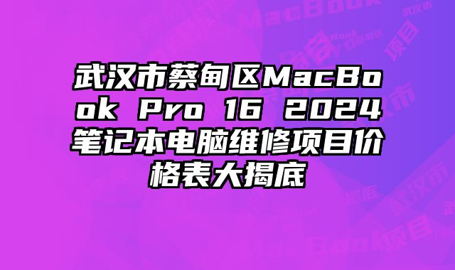 武漢市蔡甸區MacBook Pro 16 2024筆記本電腦維修項目價格表大揭底