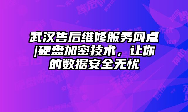 武漢售后維修服務網點|硬盤加密技術，讓你的數據安全無憂