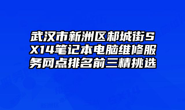 武漢市新洲區邾城街SX14筆記本電腦維修服務網點排名前三精挑選