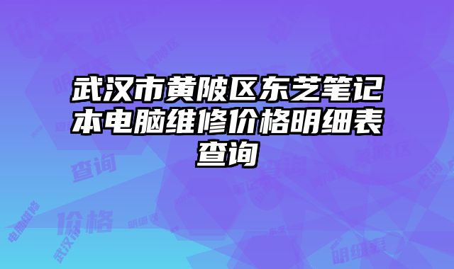 武漢市黃陂區東芝筆記本電腦維修價格明細表查詢