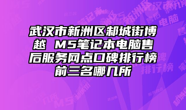 武漢市新洲區(qū)邾城街博越 M5筆記本電腦售后服務(wù)網(wǎng)點(diǎn)口碑排行榜前三名哪幾所