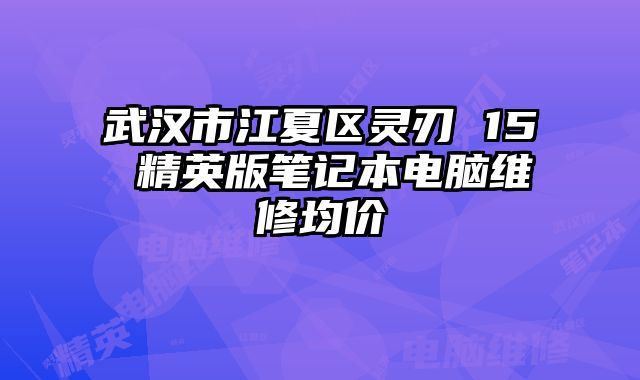 武漢市江夏區(qū)靈刃 15 精英版筆記本電腦維修均價(jià)