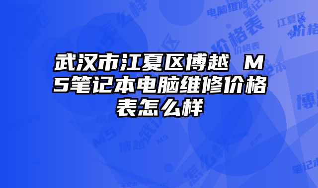 武漢市江夏區(qū)博越 M5筆記本電腦維修價格表怎么樣