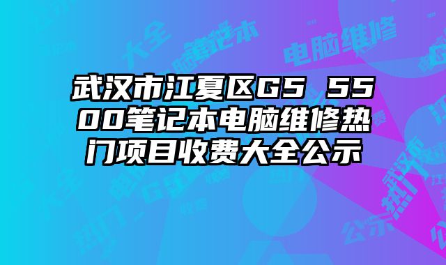 武漢市江夏區(qū)G5 5500筆記本電腦維修熱門(mén)項(xiàng)目收費(fèi)大全公示