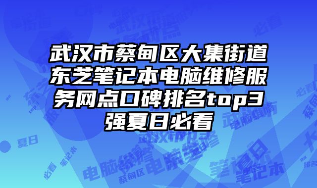 武漢市蔡甸區大集街道東芝筆記本電腦維修服務網點口碑排名top3強夏日必看