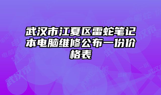 武漢市江夏區雷蛇筆記本電腦維修公布一份價格表