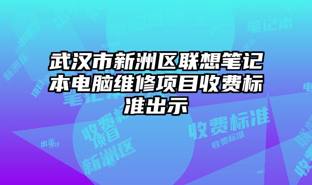 武漢市新洲區聯想筆記本電腦維修項目收費標準出示